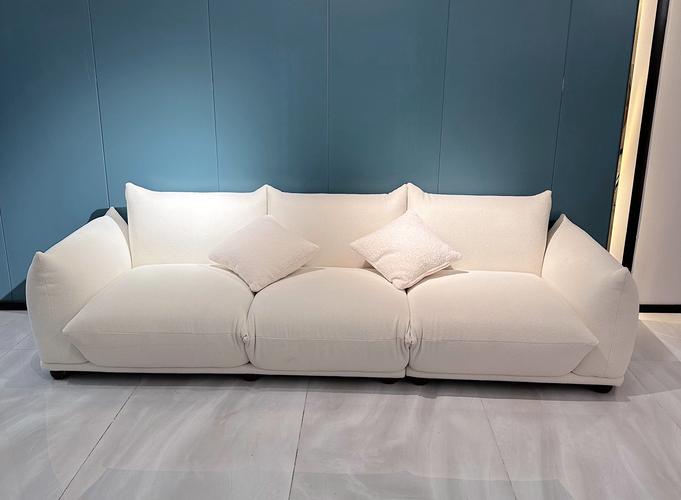 tcl电视怎样安装沙发管家里的软件